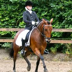 DSP Prins Orloff B-pony halv A-pony. (SOLGT)