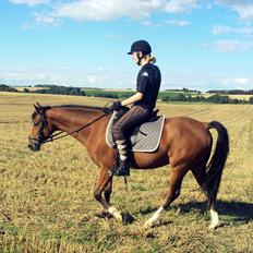 DSP •º°°•Misty•°°º•  ~My soulmate~ <3