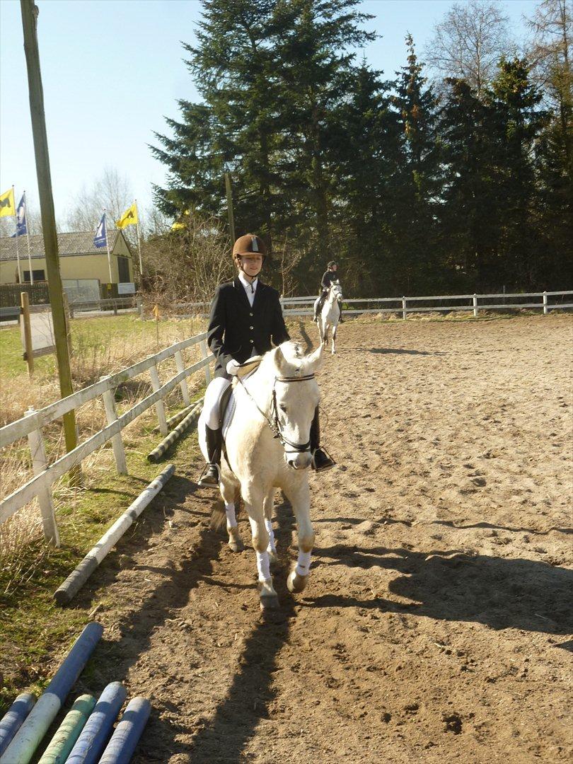 Anden særlig race Monique  drømme-ponyen MinBedsteVen - min skønne pony og jeg opvarmer oppe på banen <3<3 billede 3