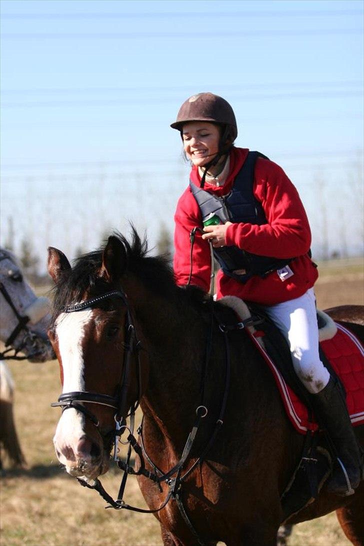 Dansk Varmblod Herkules - jagt debut 25.03.12 gik super godt, dog et fald pga løs bund, dog skete der ikke noget med hverken hest eller jeg kom tilskade, da der var god plads. Det var på INGEN MÅDE hans skyld. billede 12