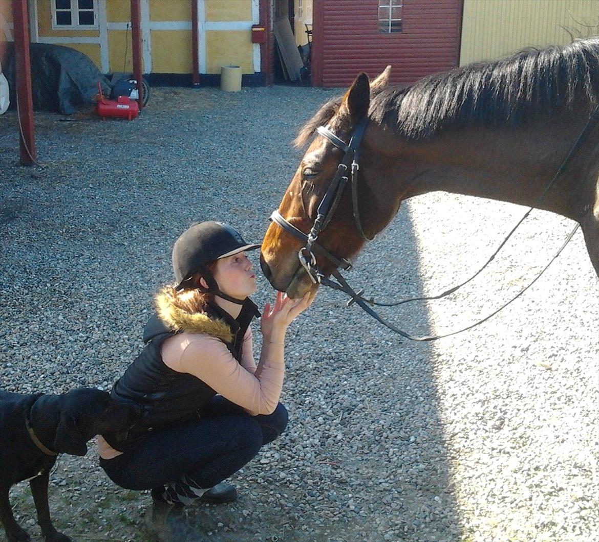 Traver Poolpartygirl F billede 10