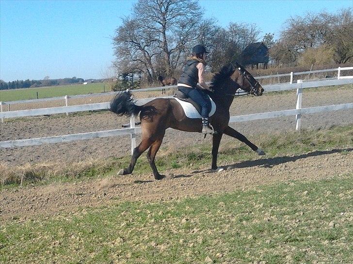 Traver Poolpartygirl F billede 13