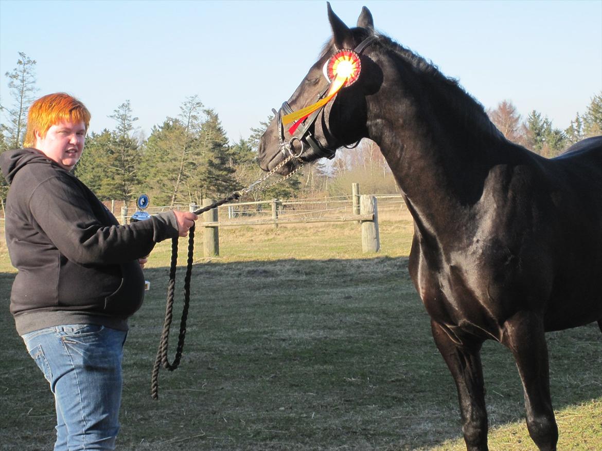 Barockpferd Hope's Kashede - Så tog vi da lige en 1 plads billede 16