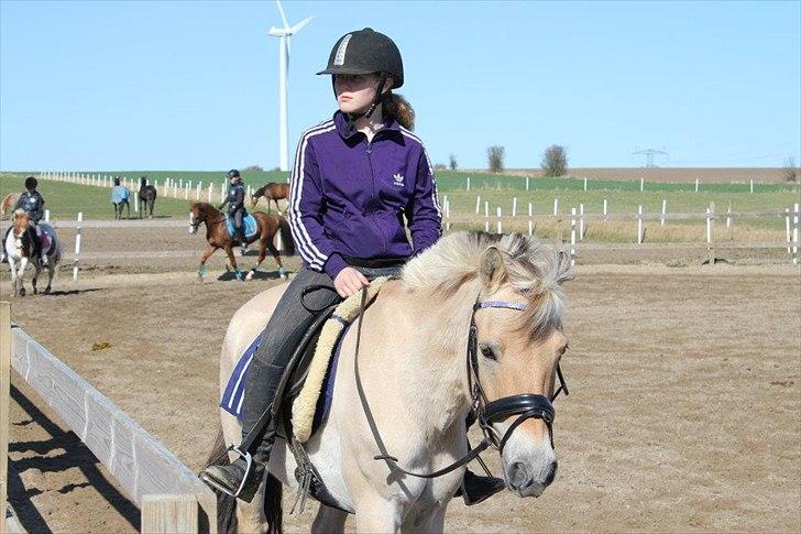 Fjordhest Frue<3(bedsteven<3)R.I.P:(savner dig!:-( - Gør klar til ringridning!:-D billede 19