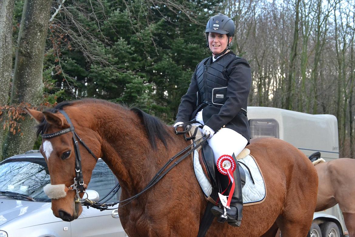Zangersheide Gwinny Alfarvad Z - Foto: Line Mortensen billede 9