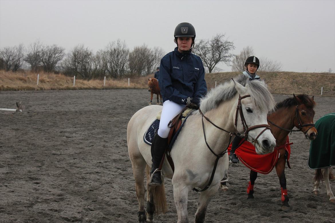 Anden særlig race Bounty billede 6