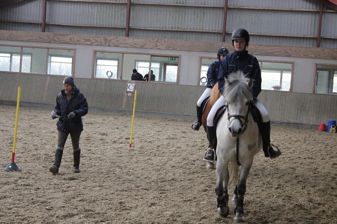 Anden særlig race Bounty billede 7