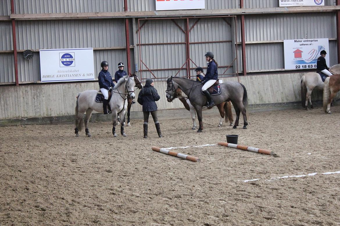 Anden særlig race Bounty billede 9