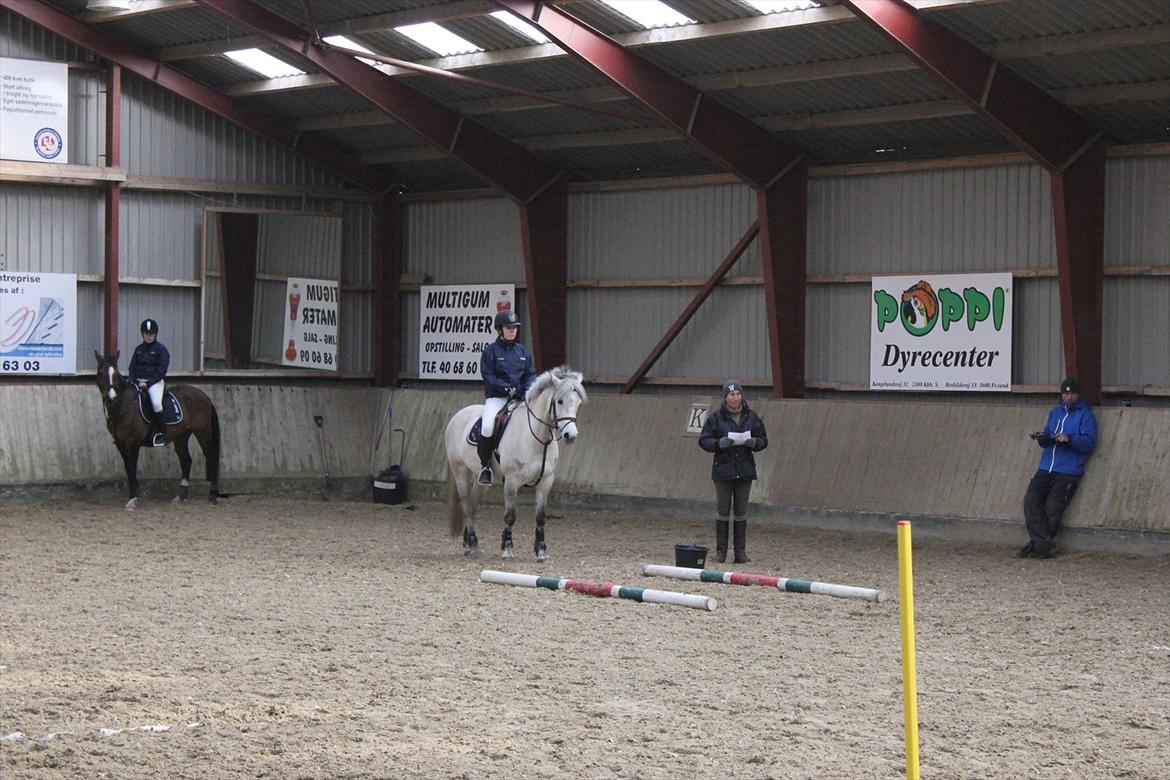 Anden særlig race Bounty billede 10