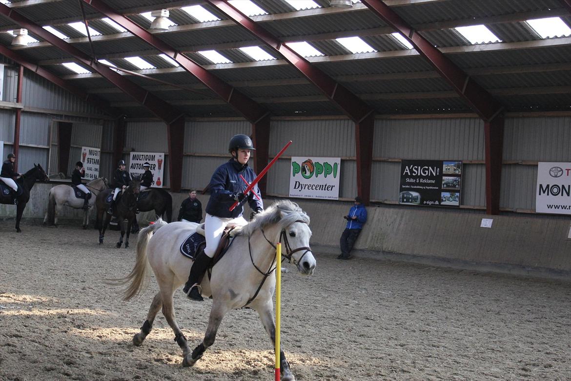 Anden særlig race Bounty billede 11