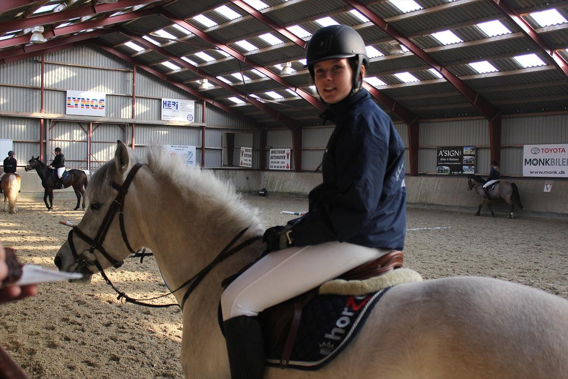 Anden særlig race Bounty billede 12