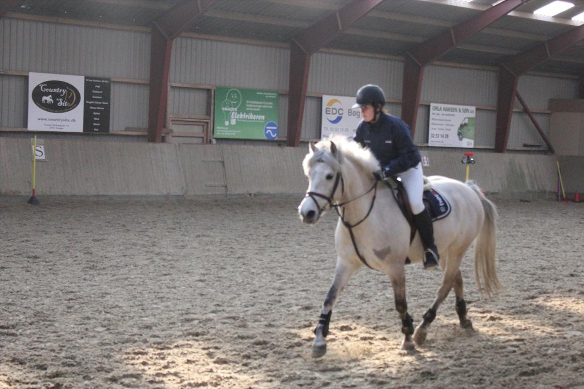 Anden særlig race Bounty billede 13