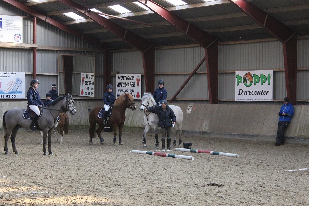 Anden særlig race Bounty billede 14