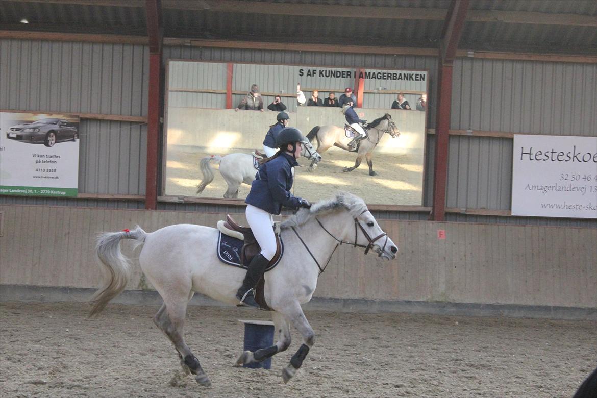 Anden særlig race Bounty billede 15