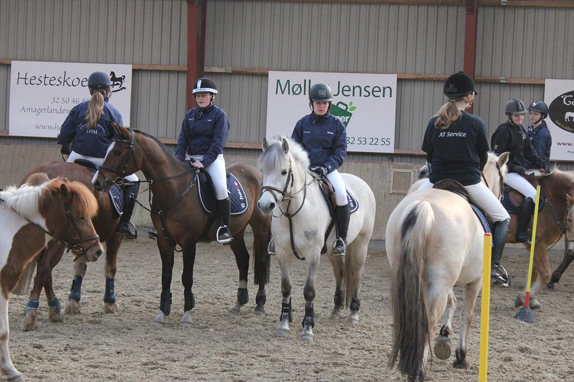 Anden særlig race Bounty billede 16