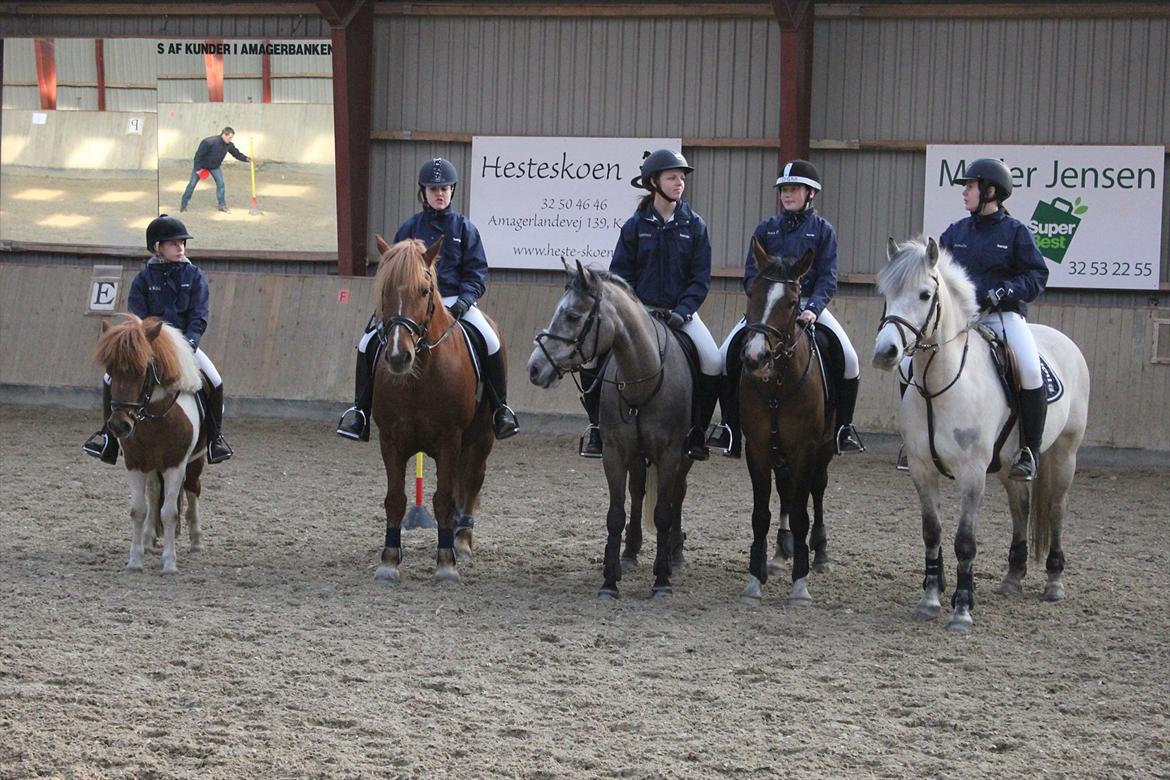 Anden særlig race Bounty billede 17