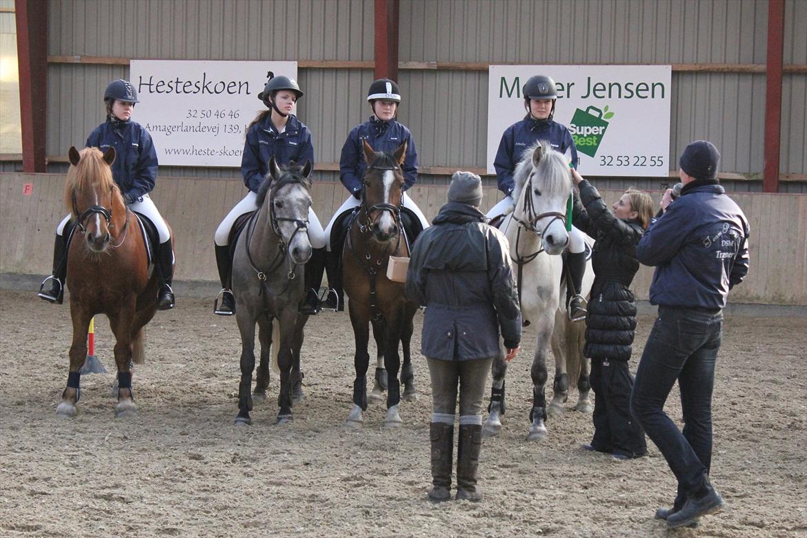 Anden særlig race Bounty billede 18