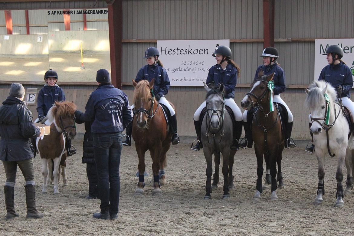 Anden særlig race Bounty billede 19