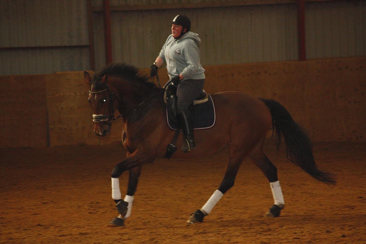 Holstener Vestergårdens La Luna - 17-03/12 ~ mor og Luna til dressur undervisning :D billede 10