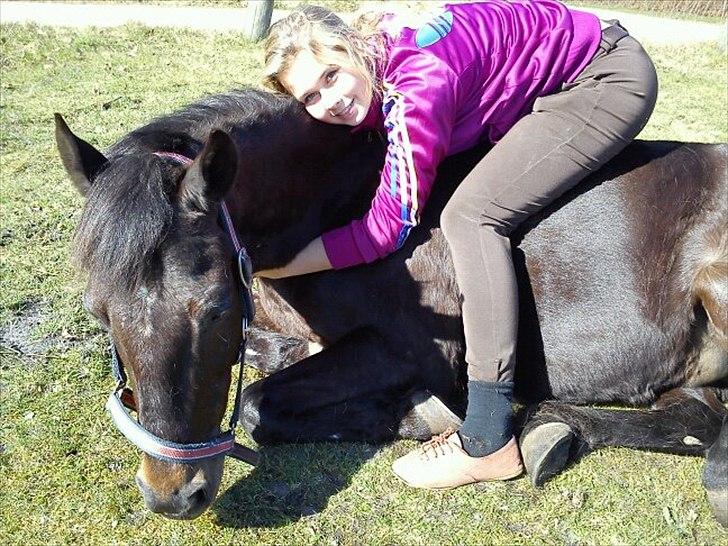 Hollandsk Sportspony Egano. - Min dejlige pony, som jeg stoler 100 % på  <3 
- Taget af Amanda. billede 4