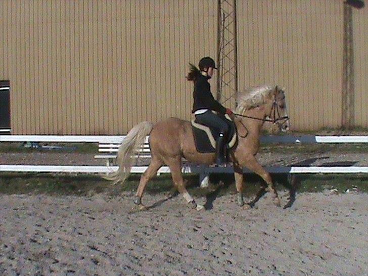Anden særlig race sally - anna og pinja billede 8