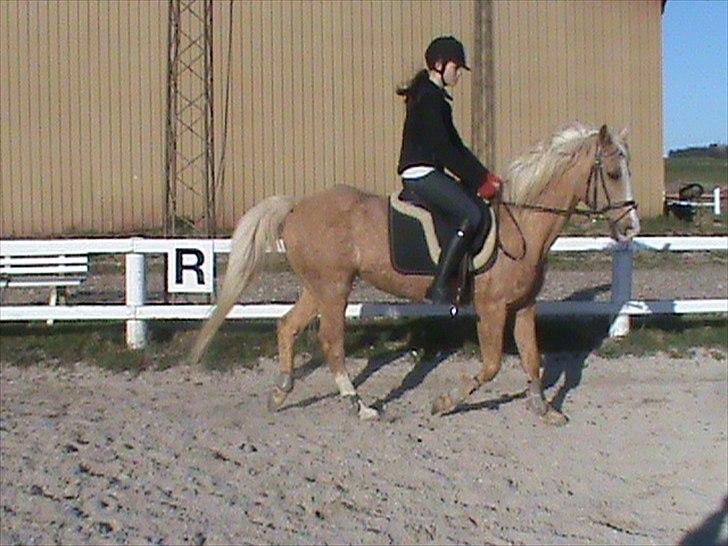 Anden særlig race sally - anna og pinja billede 9