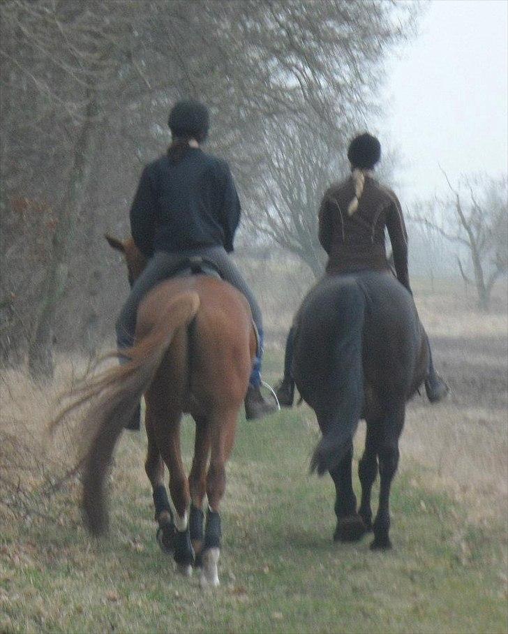 Oldenborg Urnette Af Ålborgdal - På skovtur - der er bare ikke noget hyggeligere :)  billede 4