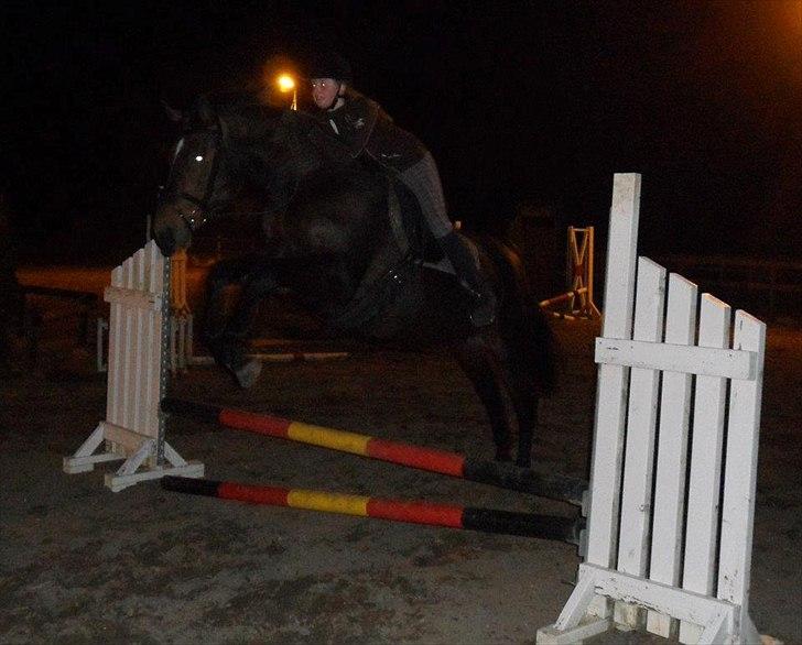 Oldenborg Urnette Af Ålborgdal - Desværre et lidt mørkt billede, men synes hun gør det ret godt af at det er første springtræning :D  billede 2