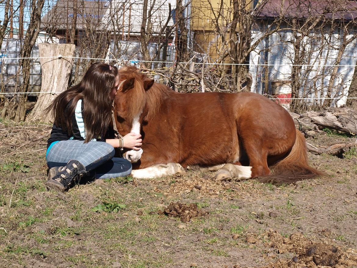 Anden særlig race Fireball - MinBedsteVen <3 - Du kan gøre mig lykkelig, du kan gøre mig splittergal. Jeg ved egentlig ikke om vi er skabt for hinanden men ærlig talt: Vi to, vi har mere end kærlighed. Vi to, bliver ved.. For du er den jeg elsker!<3  billede 19