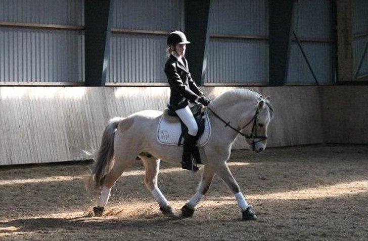 Fjordhest Staldbines Tjalfe *HIMMEL HEST* - Stævne på Skrødstrup Efterskole 24-03-2012, Tjalfe og mig i en LC3! fin pony!<3<3 billede 17