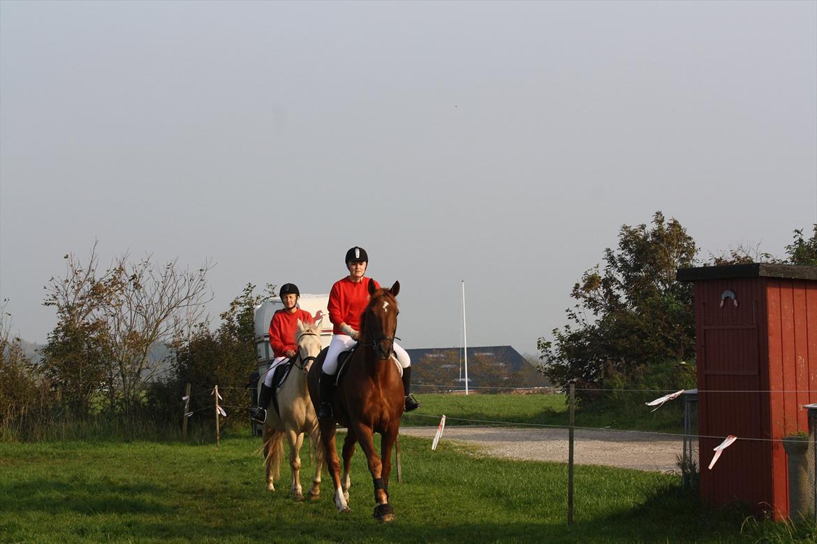 Dansk Varmblod Lando Alsidig - Jagt træning 2011 :) billede 19