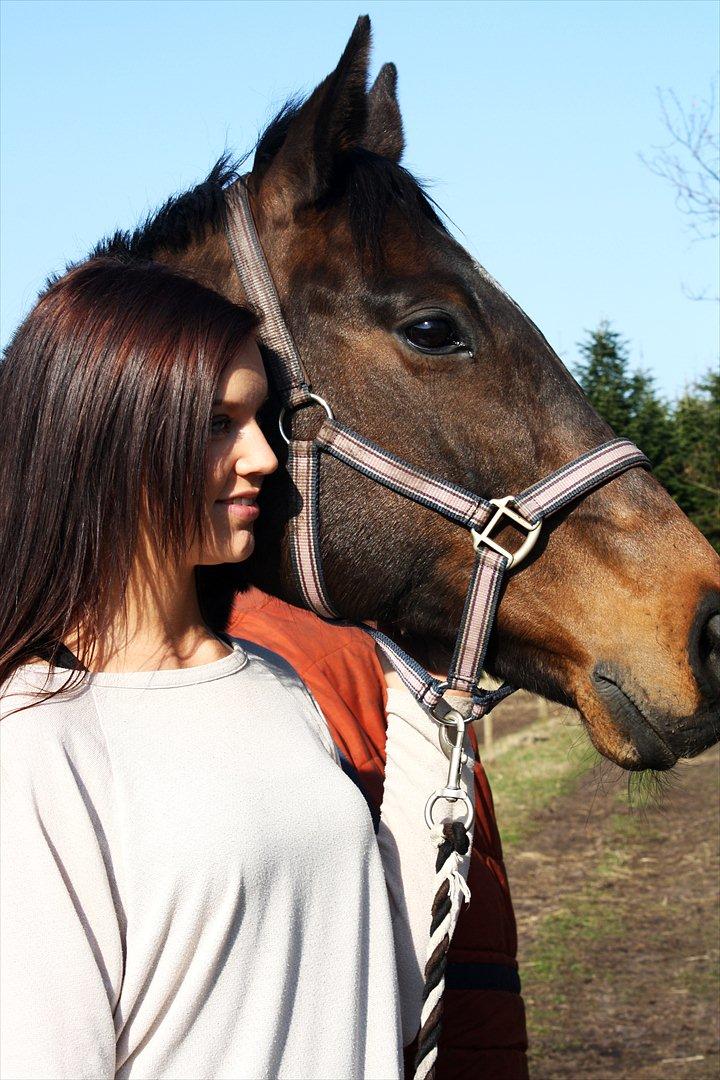 Fuldblod (XX) Adept  SOLGT - Gubbi og jeg på vej ind fra fold. billede 6