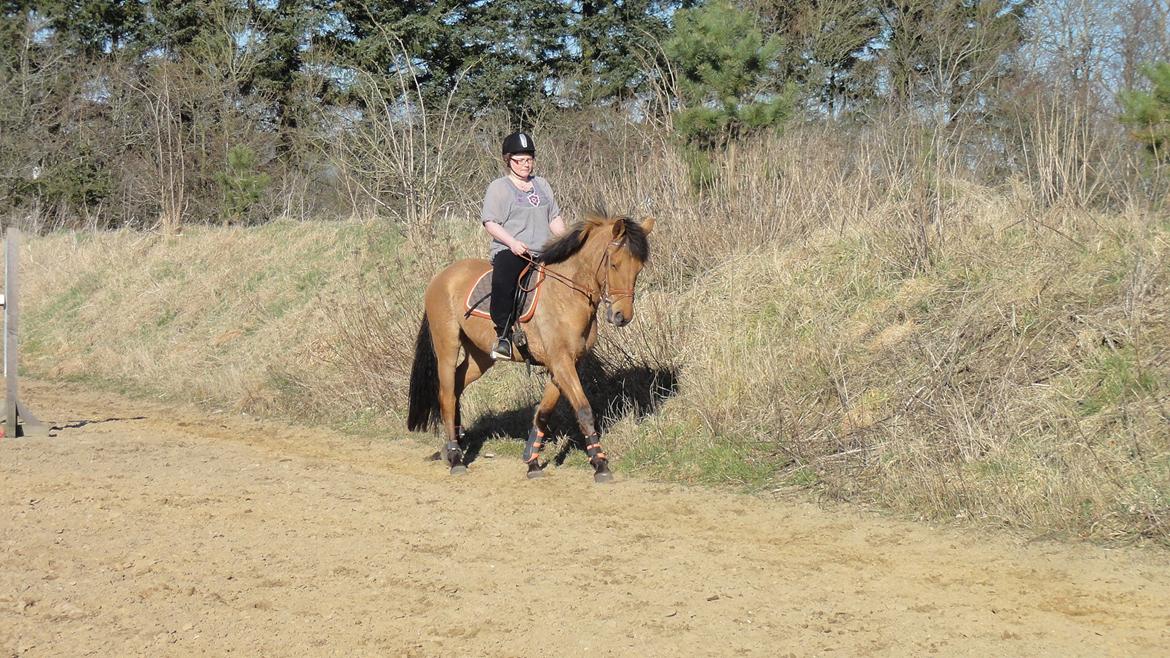 Anden særlig race Mon Chéri - 2. gang min mor rider Mon billede 9