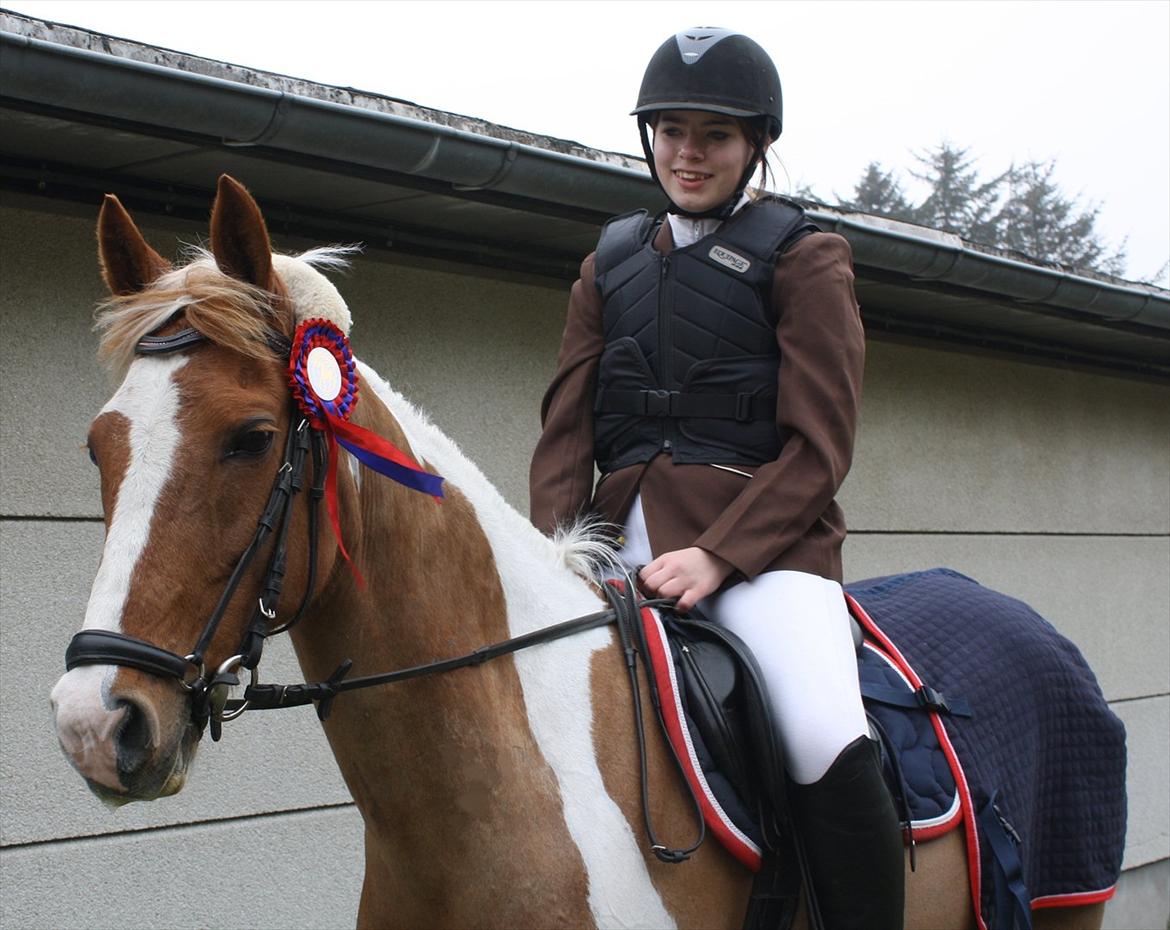 Pinto Nerolientje billede 19