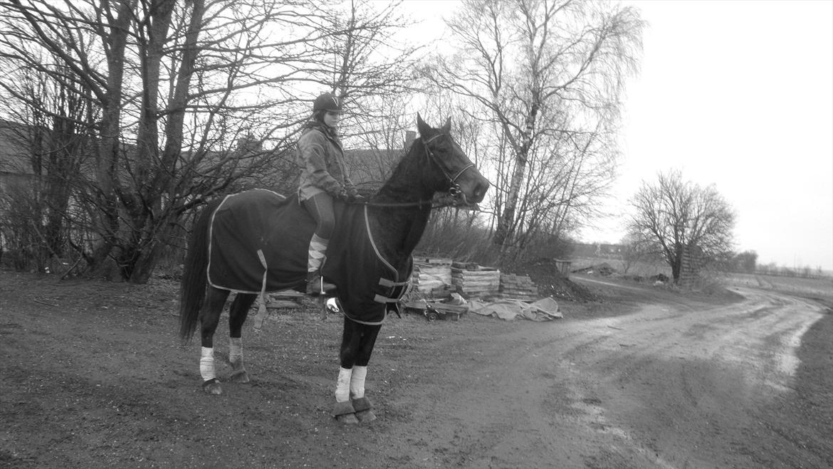 Traver Cerard Top billede 18