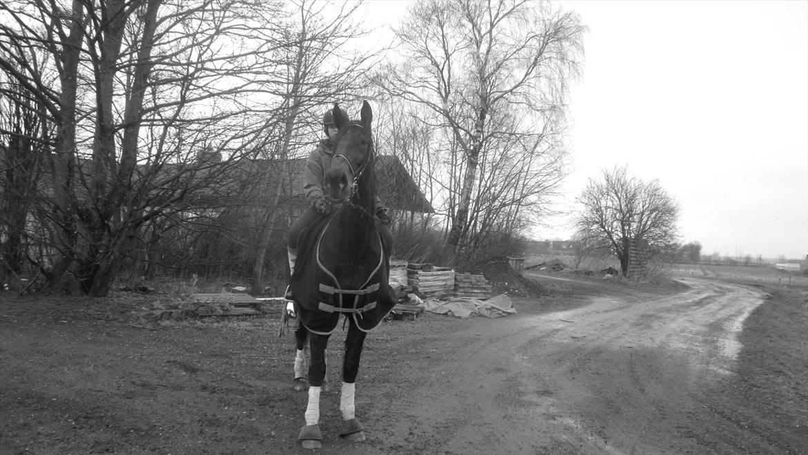 Traver Cerard Top billede 9