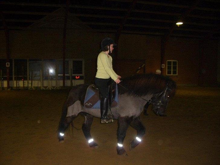 Islænder Hördur Fra Guldbæk billede 14