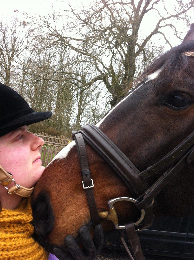 Westfaler Nisgaards Fandango - Dig og mig <3 billede 6