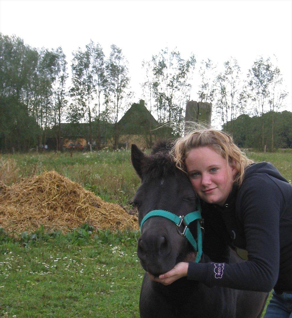 Shetlænder Akibal - min storesøster og bettemanden! <3 billede 3