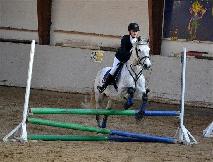 Anden særlig race Moody Bluse - Springstævne.. 
Af Line Mortensen.
2. plads♥ billede 9