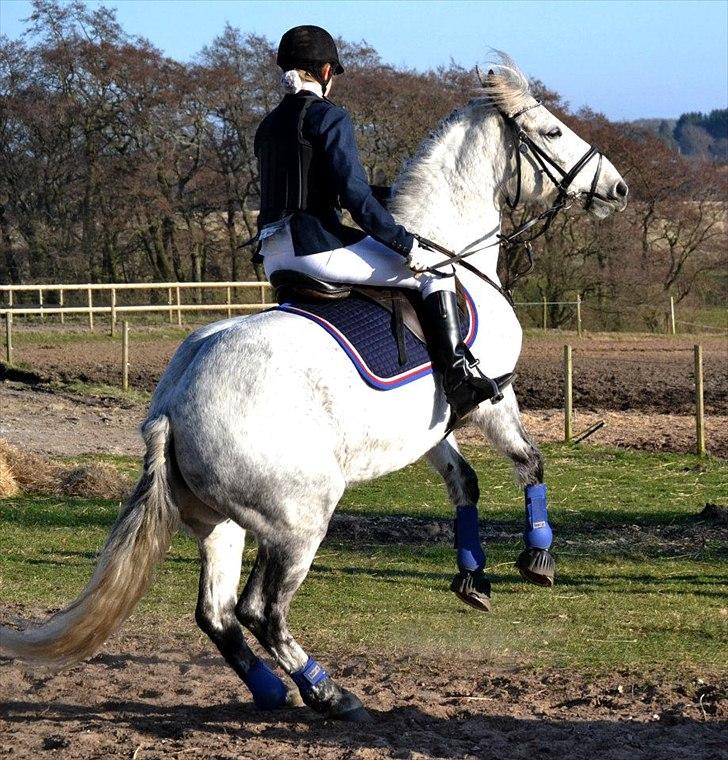 Anden særlig race Moody Bluse - Selvom du er en sød pony, kan du nu godt blive en hidsig prop! ♥
- Taget af Line Mortensen. billede 10