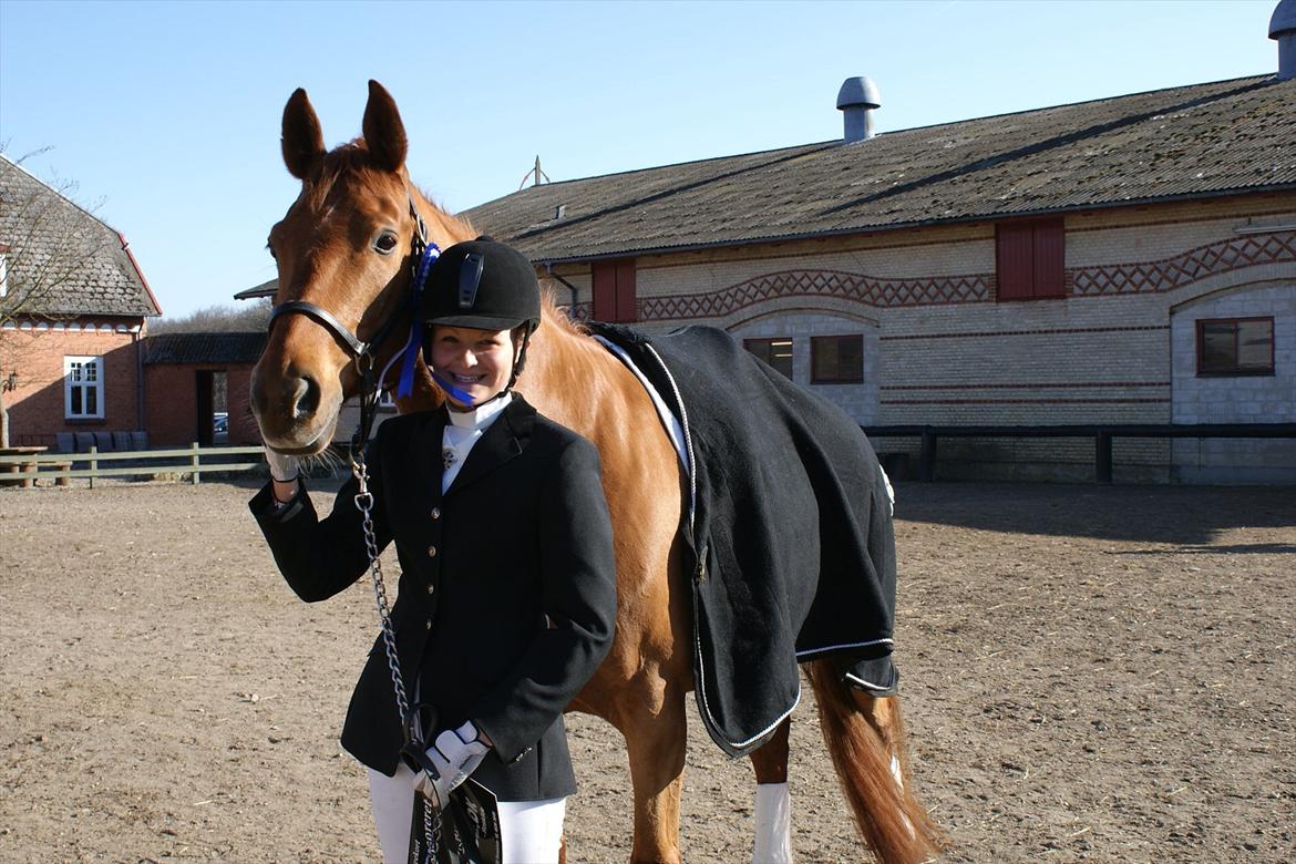 Dansk Varmblod Aaholms Fyrst - første dressurstævne.
70,0% og en delt 2.plads, SÅÅ STOLT! billede 3