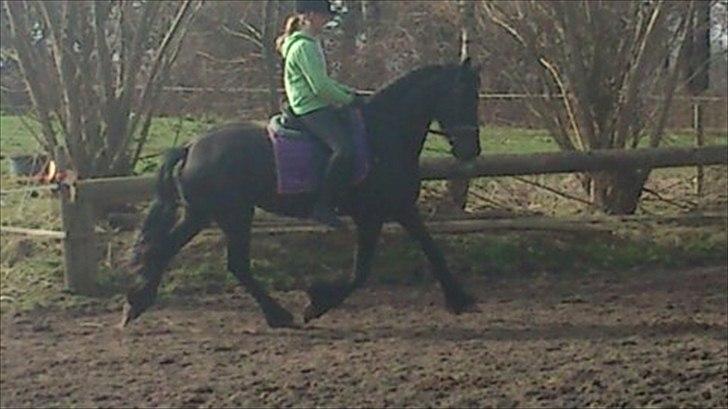 Frieser Carola billede 1