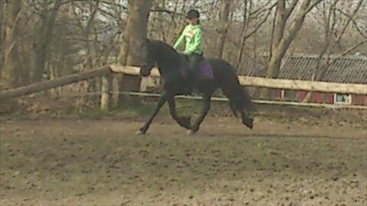 Frieser Carola billede 2