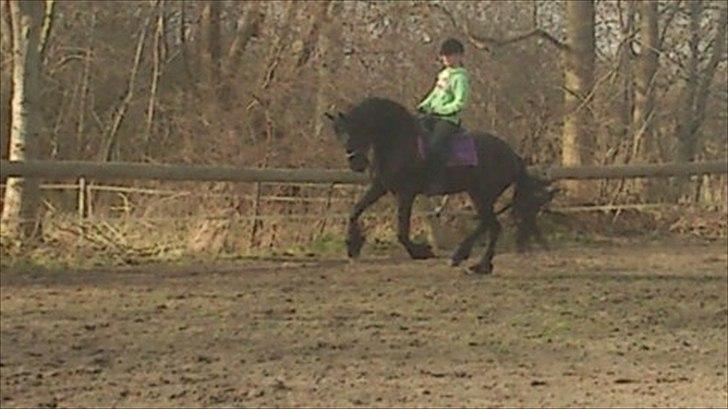 Frieser Carola billede 3