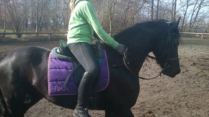 Frieser Carola billede 4