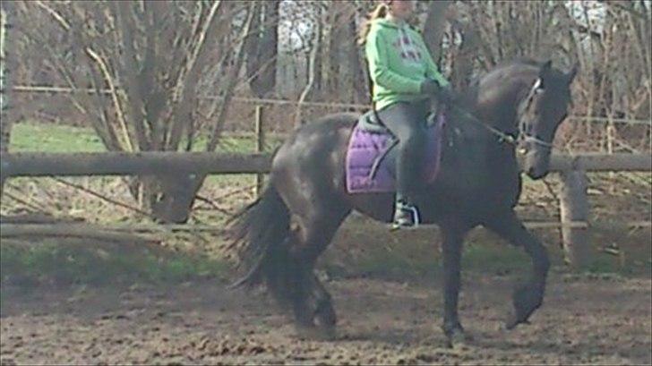 Frieser Carola billede 5