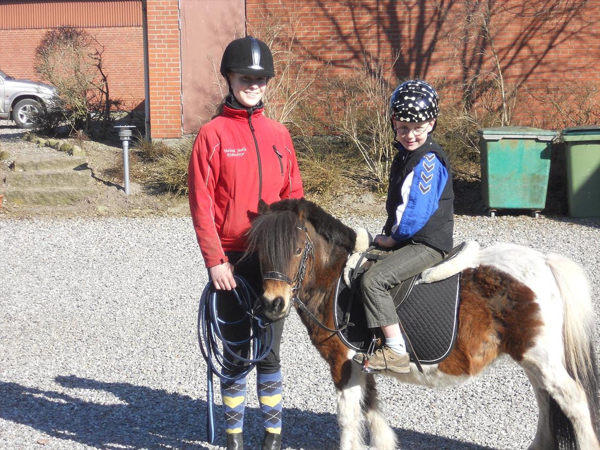 Shetlænder Perle - Min 6-årige seje lillebror rider på Perle for 2. gang :o)
Han er bare super sejt til at håndtere hende! :D billede 5