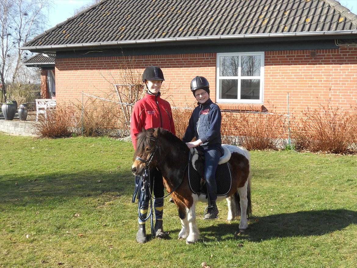 Shetlænder Perle - Min 10-årige lillebror på ryggen af Perle for første gang ;) billede 8