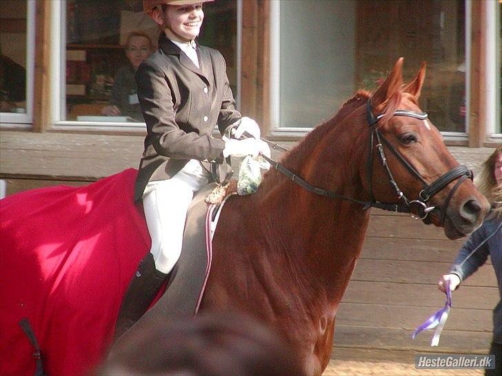 Trakehner Ferrari<3 Frejse, min ballademager!:* - You make me fell that I'm something special...
Foto: Malene O billede 4